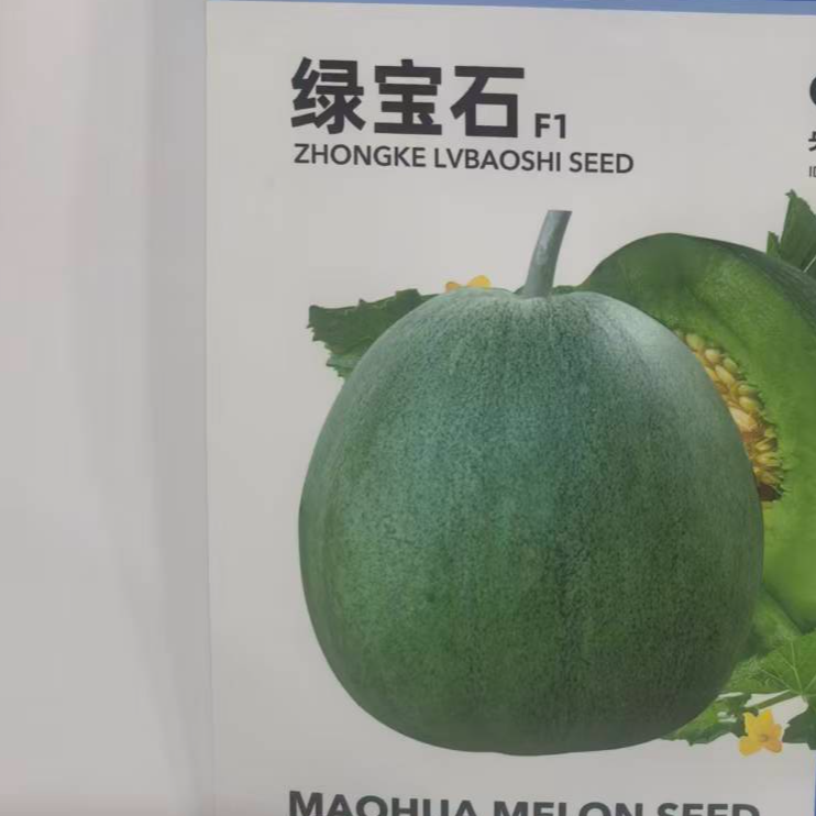 绿宝石生态种植头茬绿宝石甜瓜脆甜多汁