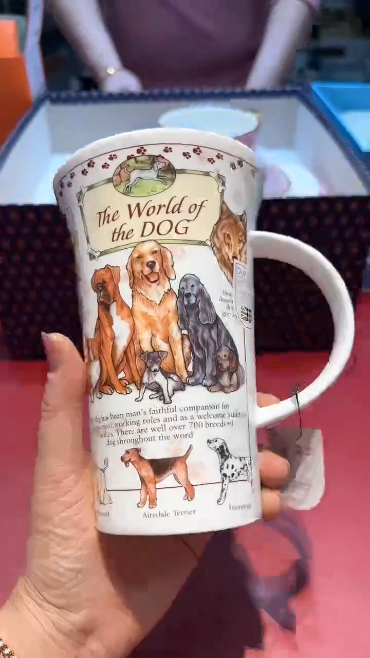 【闪购商品】瓷片锅碗瓢盆一件不剩