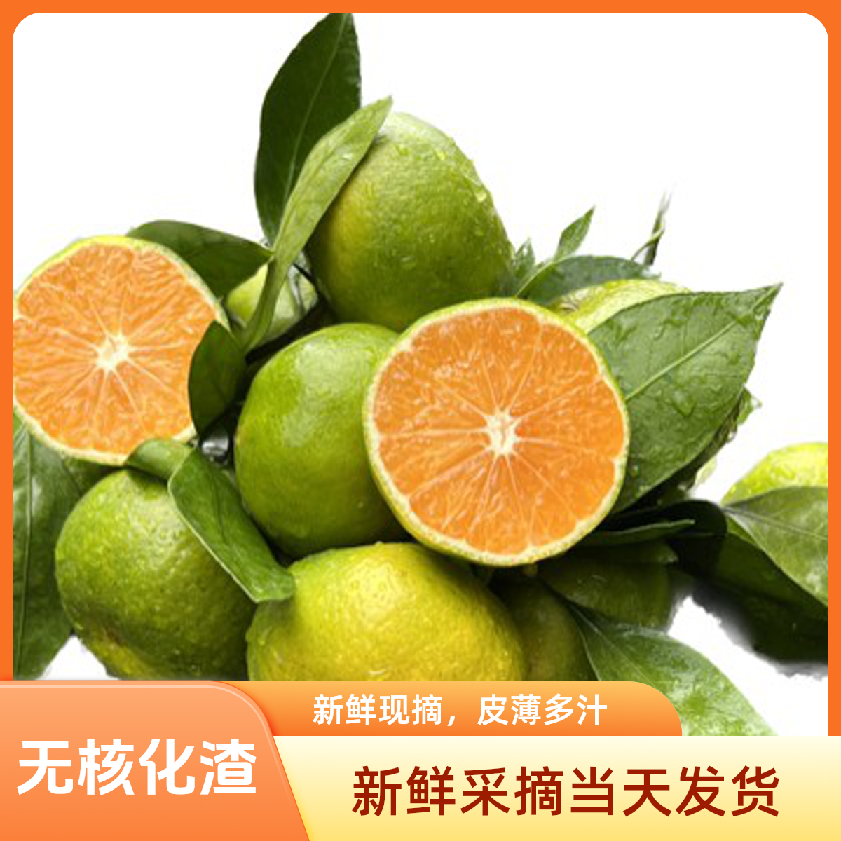 顺丰包邮【蜜桔】正宗高山特早蜜桔新鲜橘子青皮蜜桔