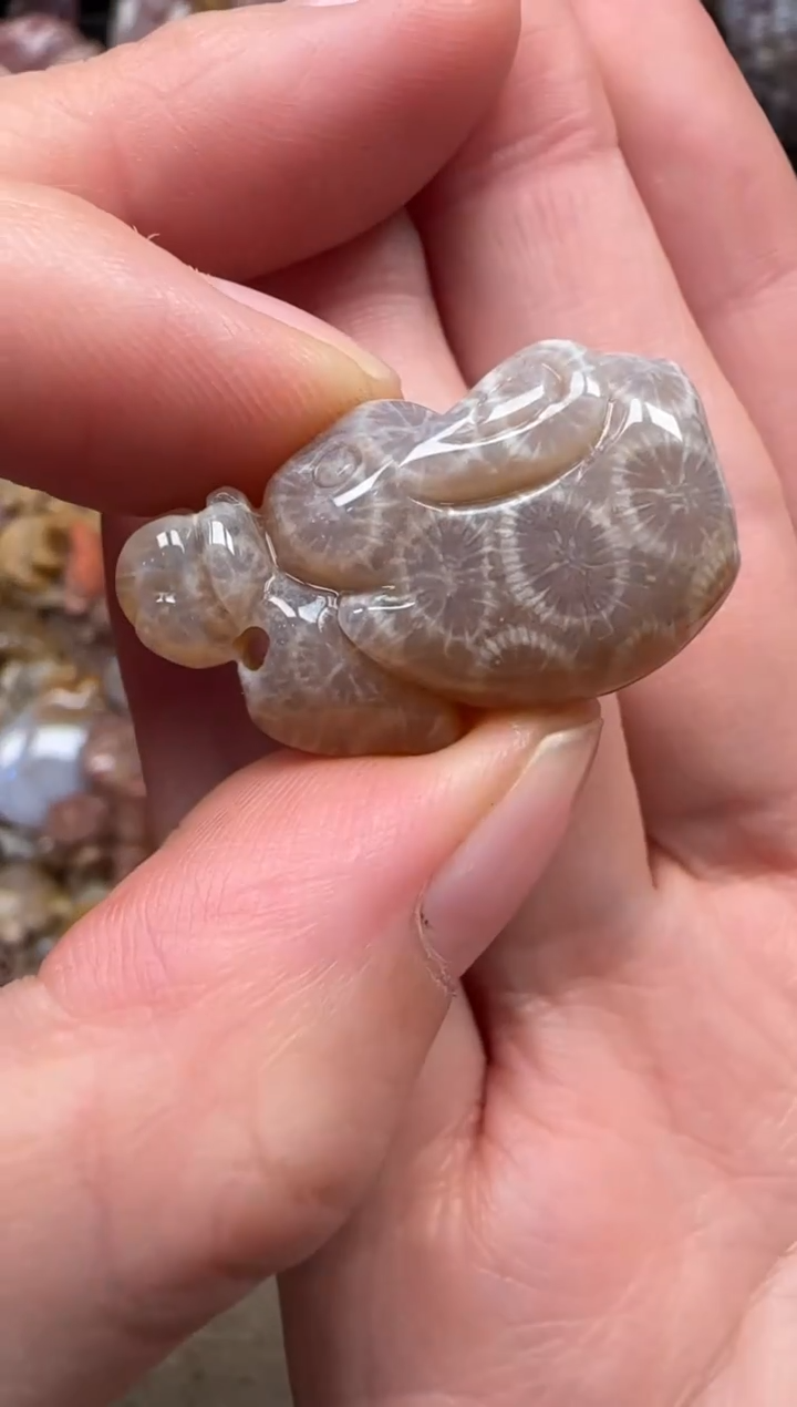 颈饰未镶嵌硅化珊瑚（珊瑚玉）699