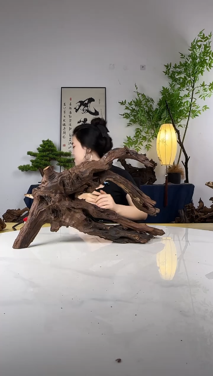 善**心拍这个定向编号28