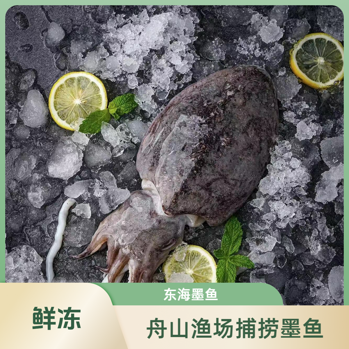 【钧哥专属】冻东海墨鱼（6-8两/条，发5只，净重3.2斤）