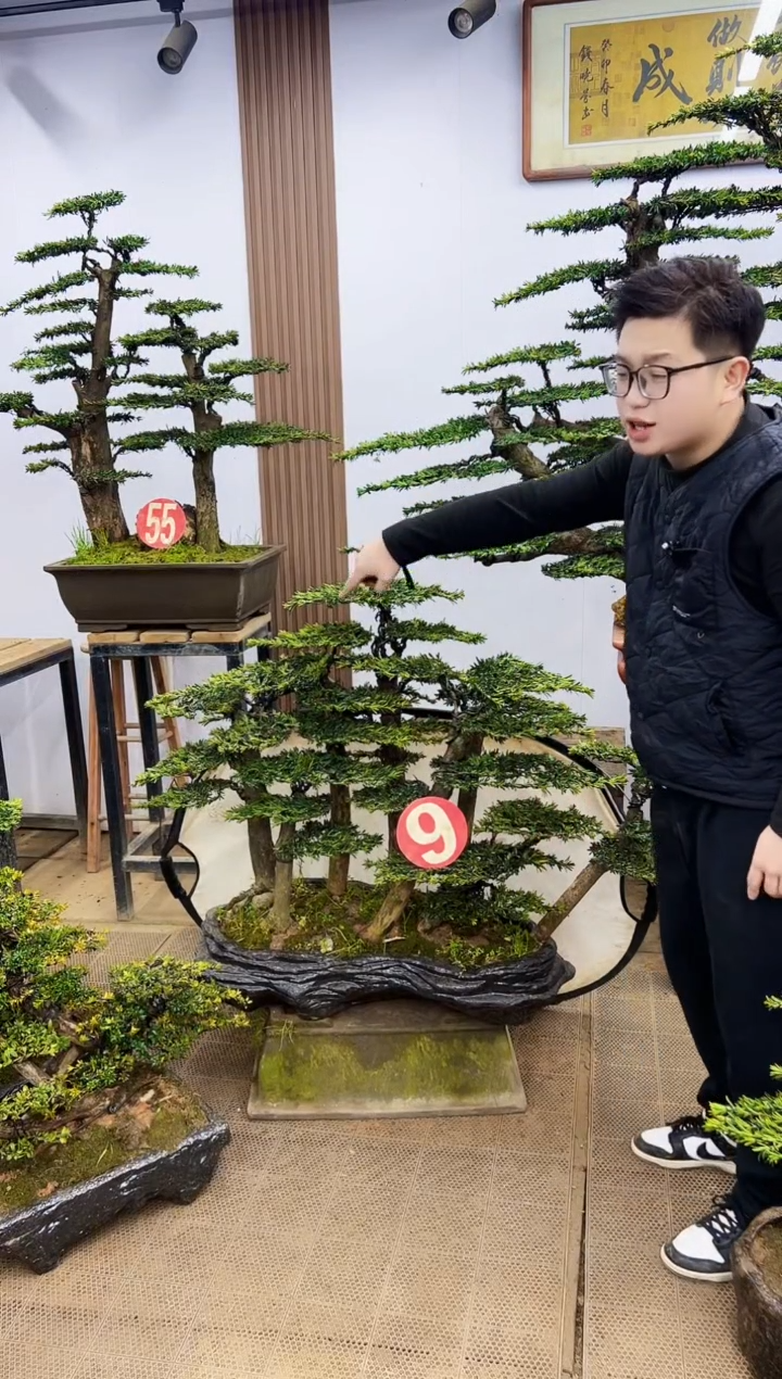 【闪购商品】一物一拍，所见即所得