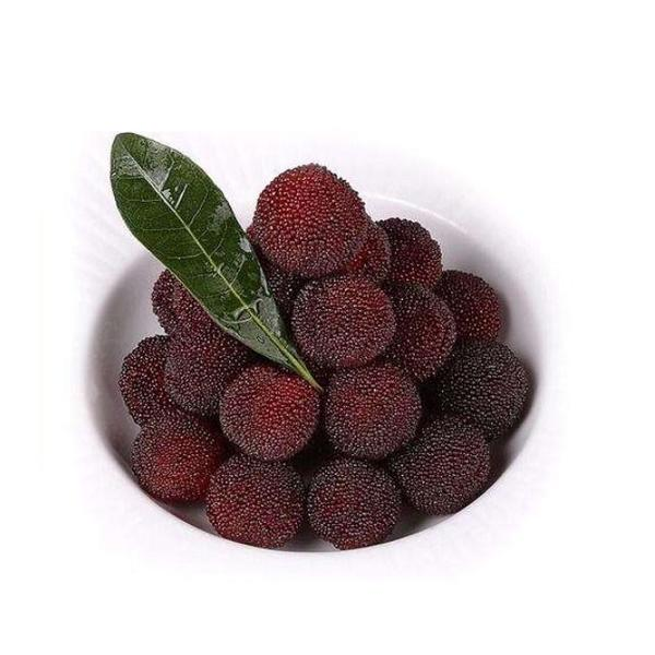 3盒-10盒【杨梅】净重1.5斤-5斤 福建杨梅好吃当季鲜果酸甜口不是鲜果切 净果1.5斤-5斤新鲜杨梅