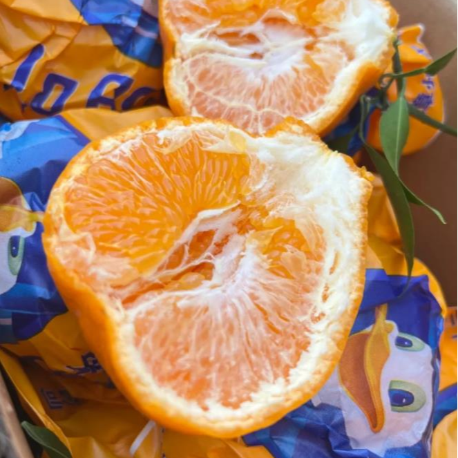 【春见】春见粑粑柑 整箱5.6斤上海市