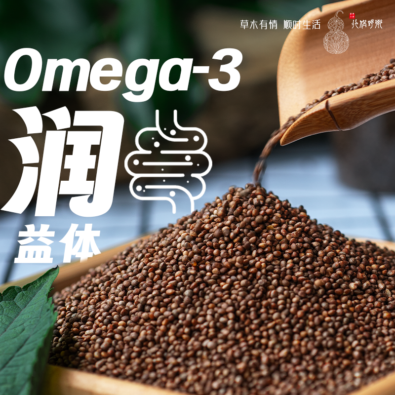 【乡野侣行】东北熟苏子粒熟的