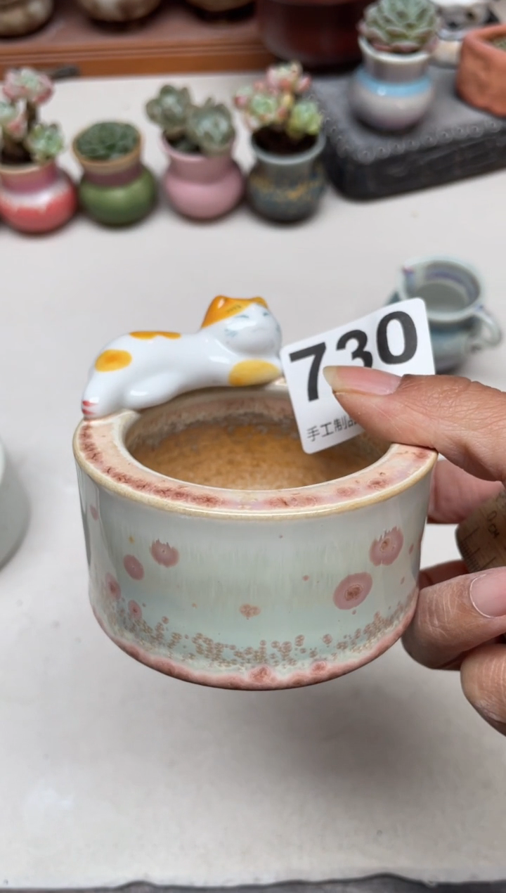 瓷片桂***片730知木小芳花盆