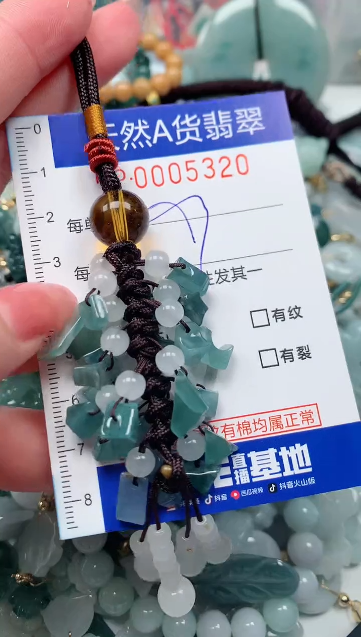 【闪购商品】翡翠颈饰未镶嵌00005320多样性发其一