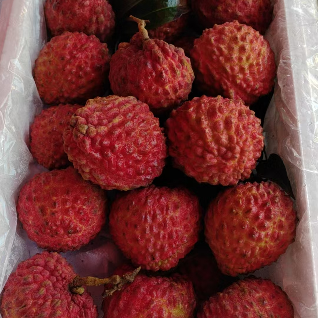 荔枝王一箱净重约4斤荔枝新鲜