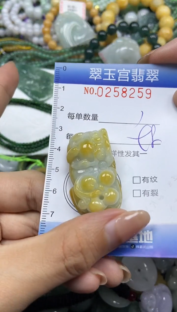 颈饰未镶嵌翡翠闪购C0258259