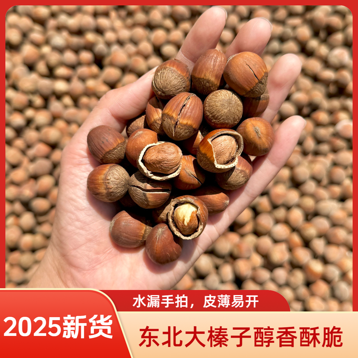 【手拍达维榛子】2025新货东北大榛子铁岭榛子不开口坚果炒货零食