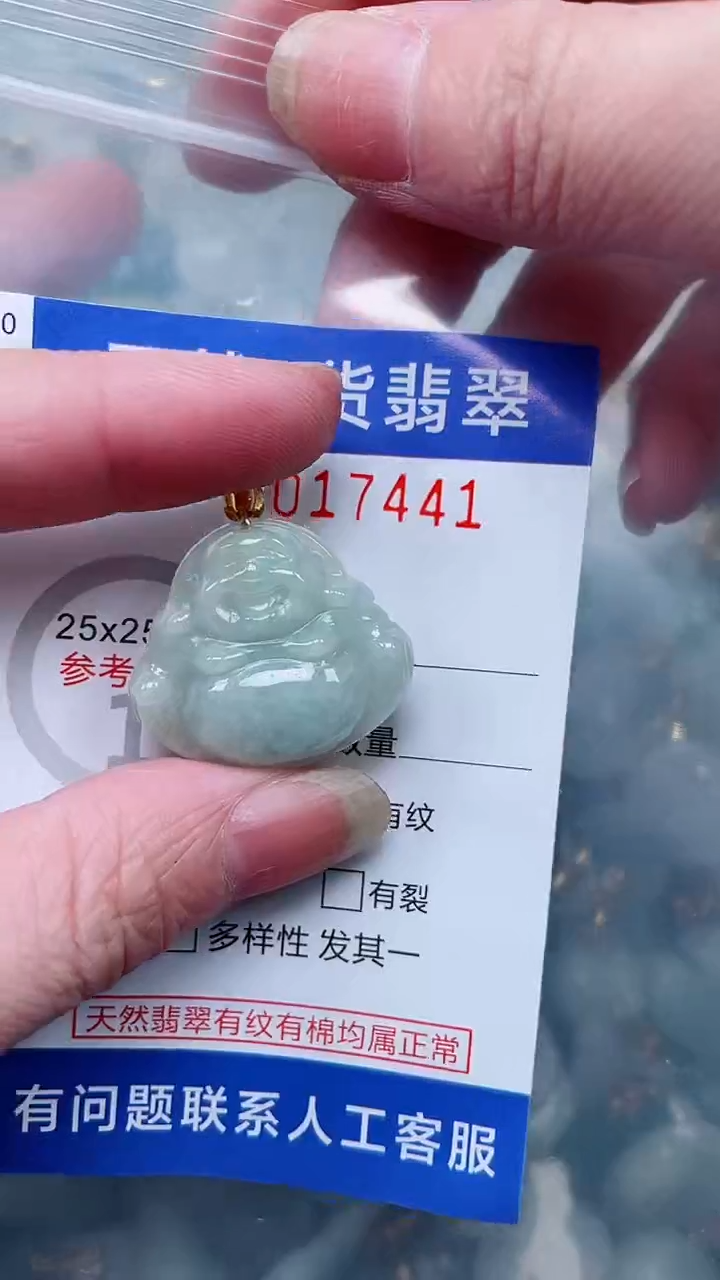 翡翠未镶嵌吊坠(不含链)1