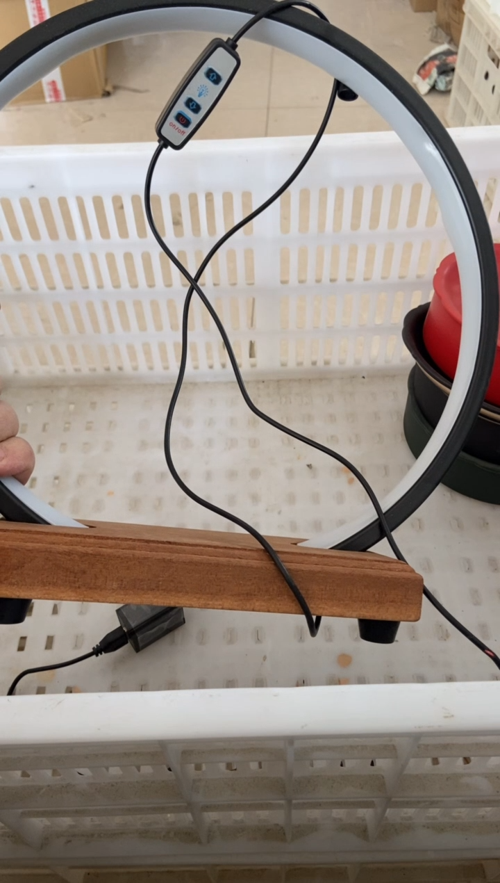 杯无运费险有瑕疵的摄影的产品有使用过的痕迹有点脏介意勿拍