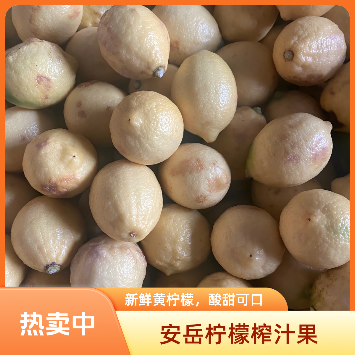 壹柠四川安岳新鲜黄柠檬榨汁果加工果四级果皮薄柠檬鲜果产地直发