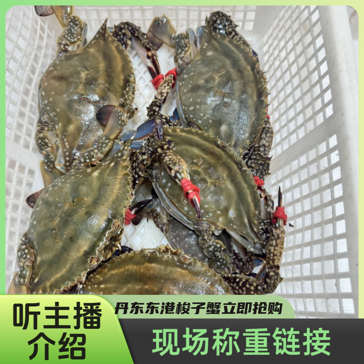 1【保鲜不保活】现场称重断氧 个数以直播间 1斤起，每只1.5两以上