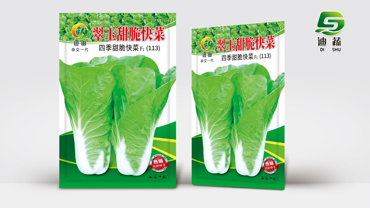 翠玉甜脆快菜四季速生甜脆快菜适合大面积种植高产耐热耐寒抗病