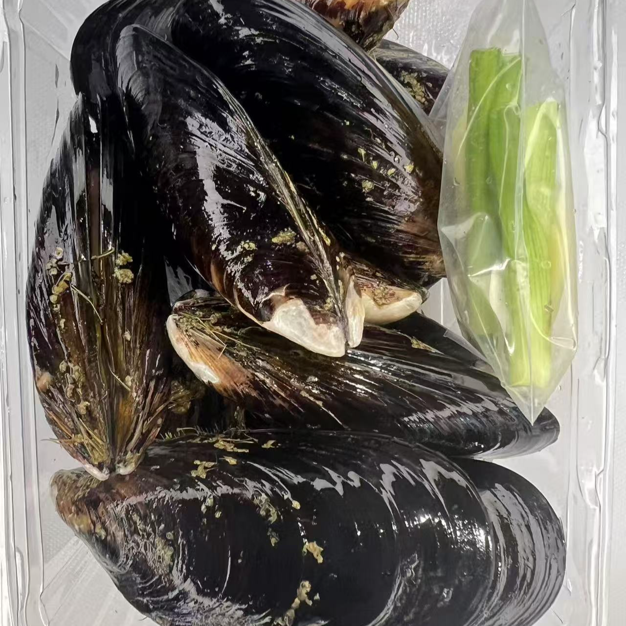 淡菜汤（新鲜食材）