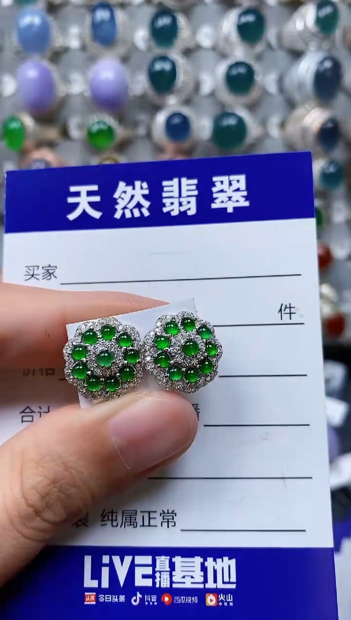 【闪购商品】翡翠耳饰银S925镶嵌0461