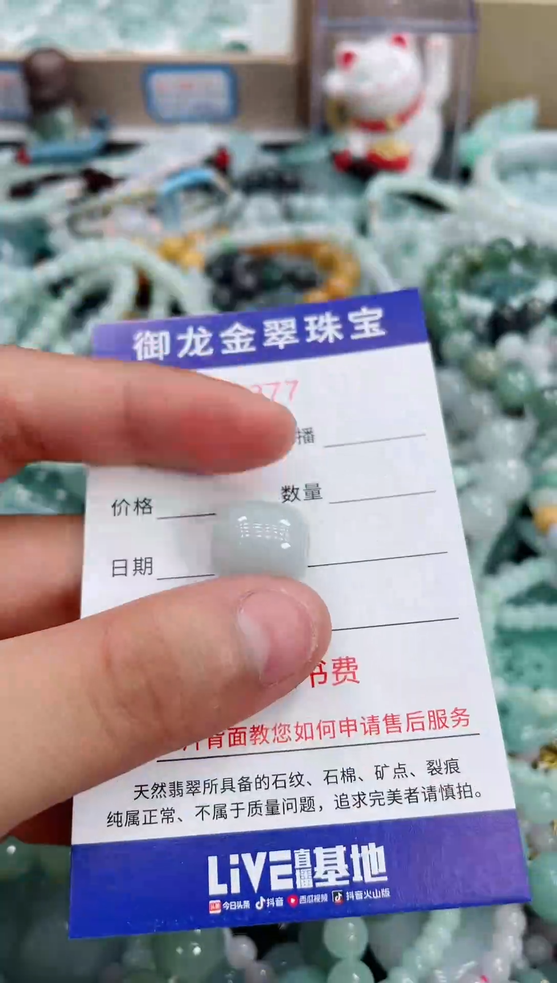 翡翠未镶嵌颈饰031