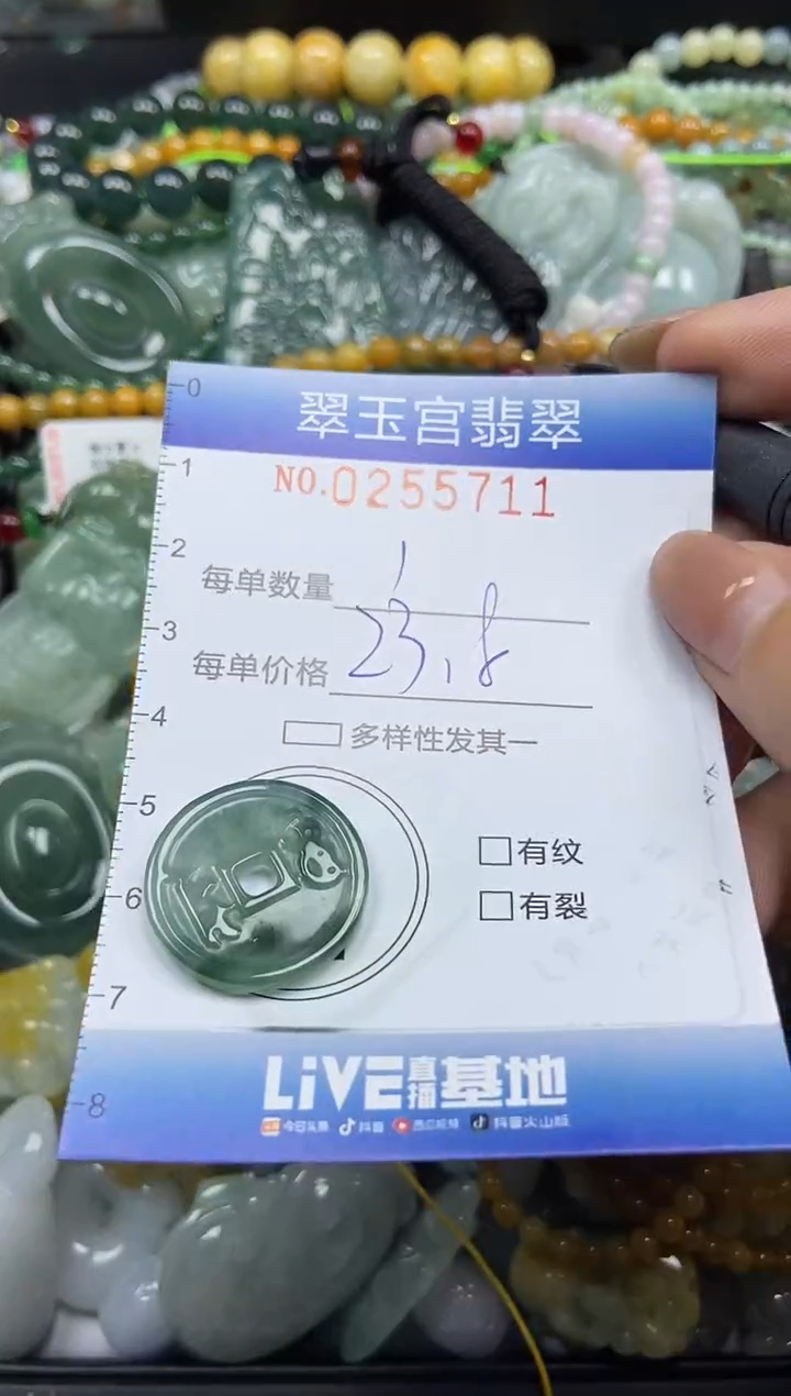 颈饰未镶嵌翡翠闪购C0255711