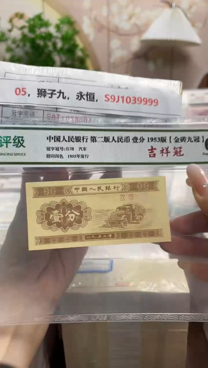 M，05，狮子九，永恒，S9J1039999