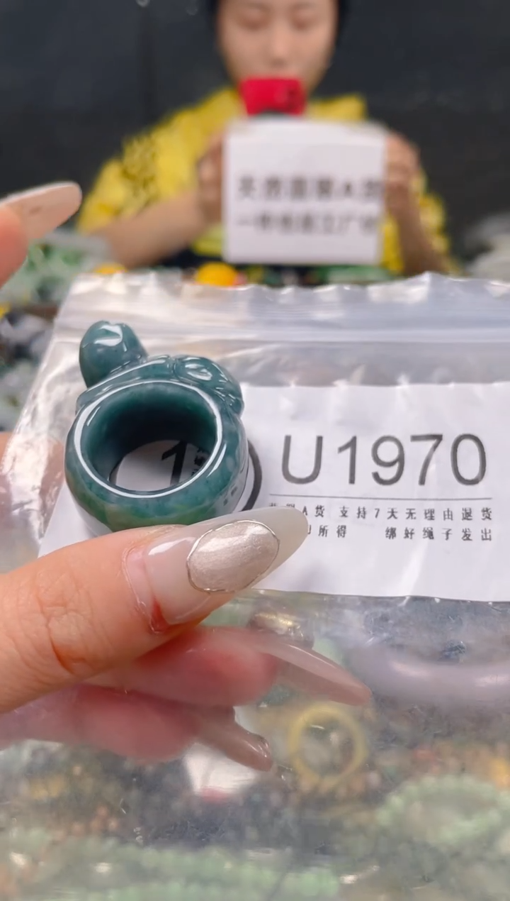 【闪购商品】翡翠颈饰未镶嵌19.9/U/翡翠A货一图一物