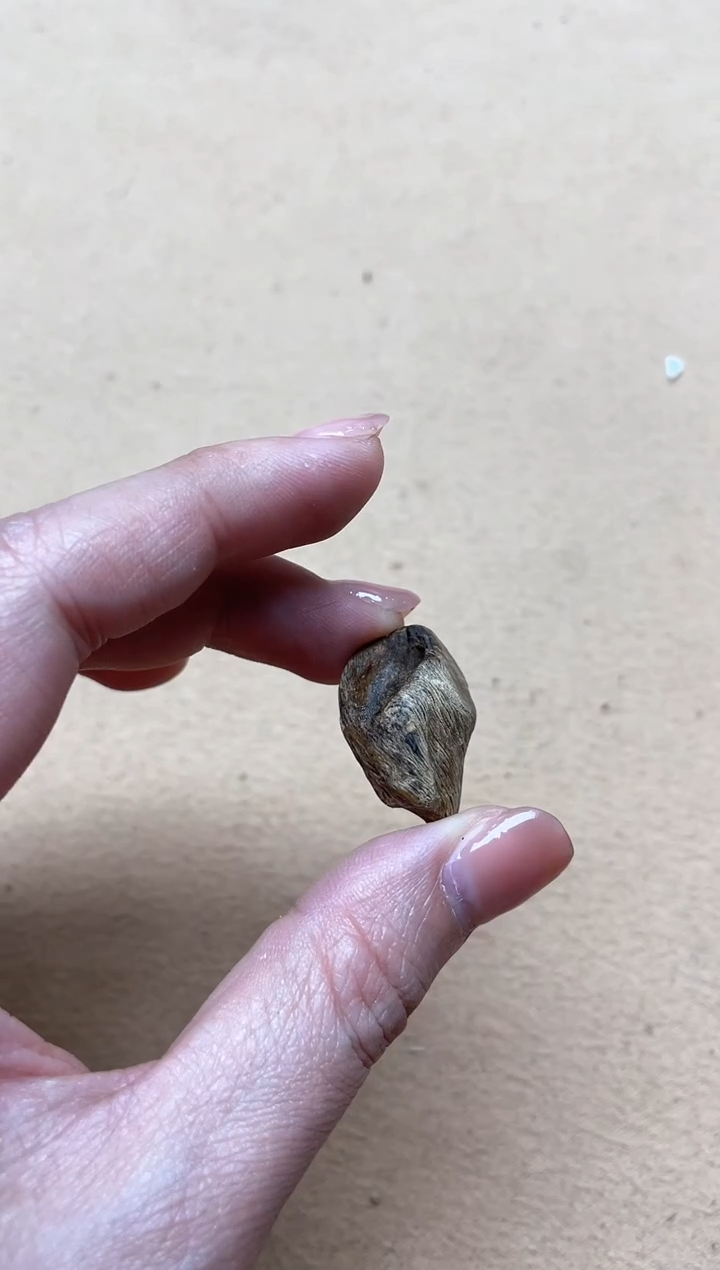 【闪购商品】沉香吊坠达拉干沉水吊坠多样性发其一