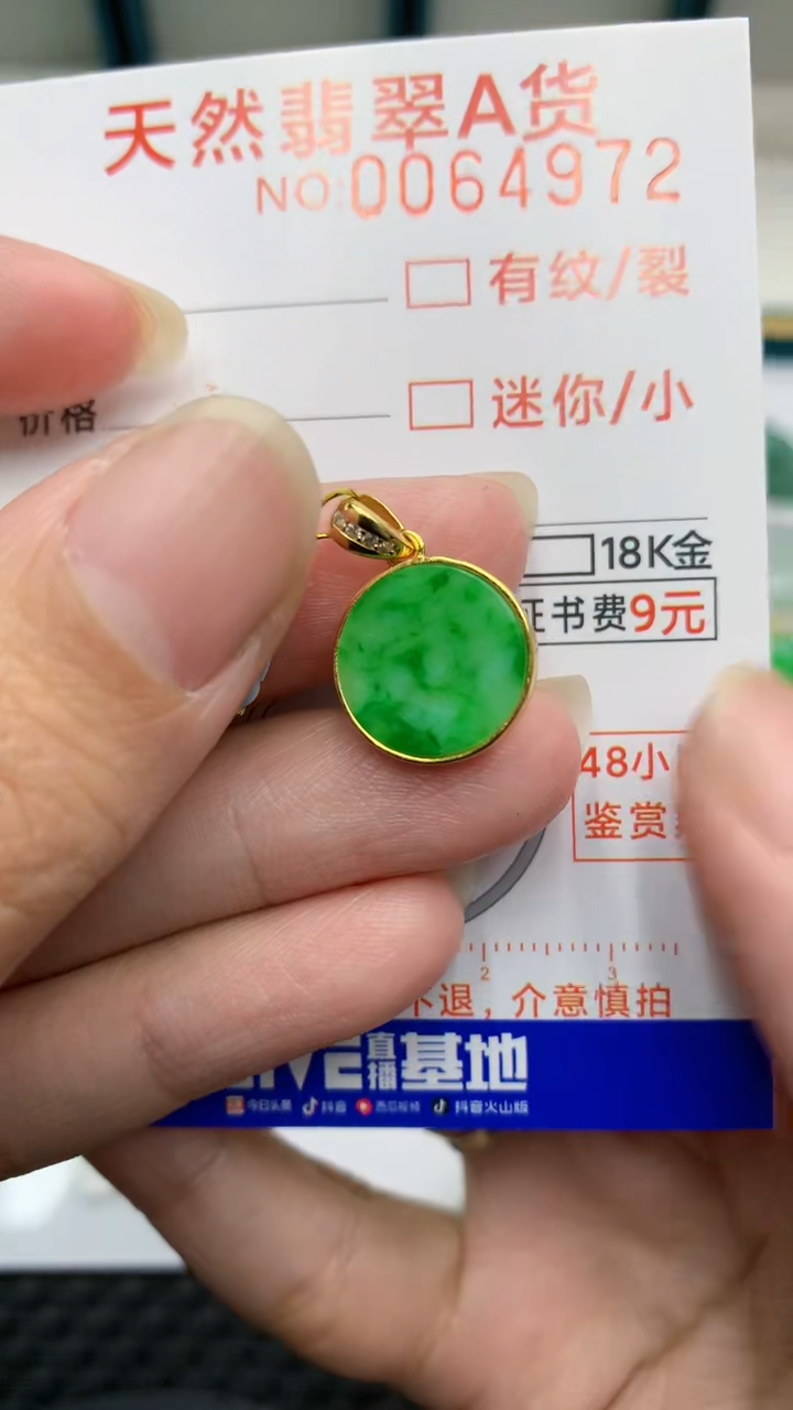 【闪购商品】翡翠颈饰银S925镶嵌            8