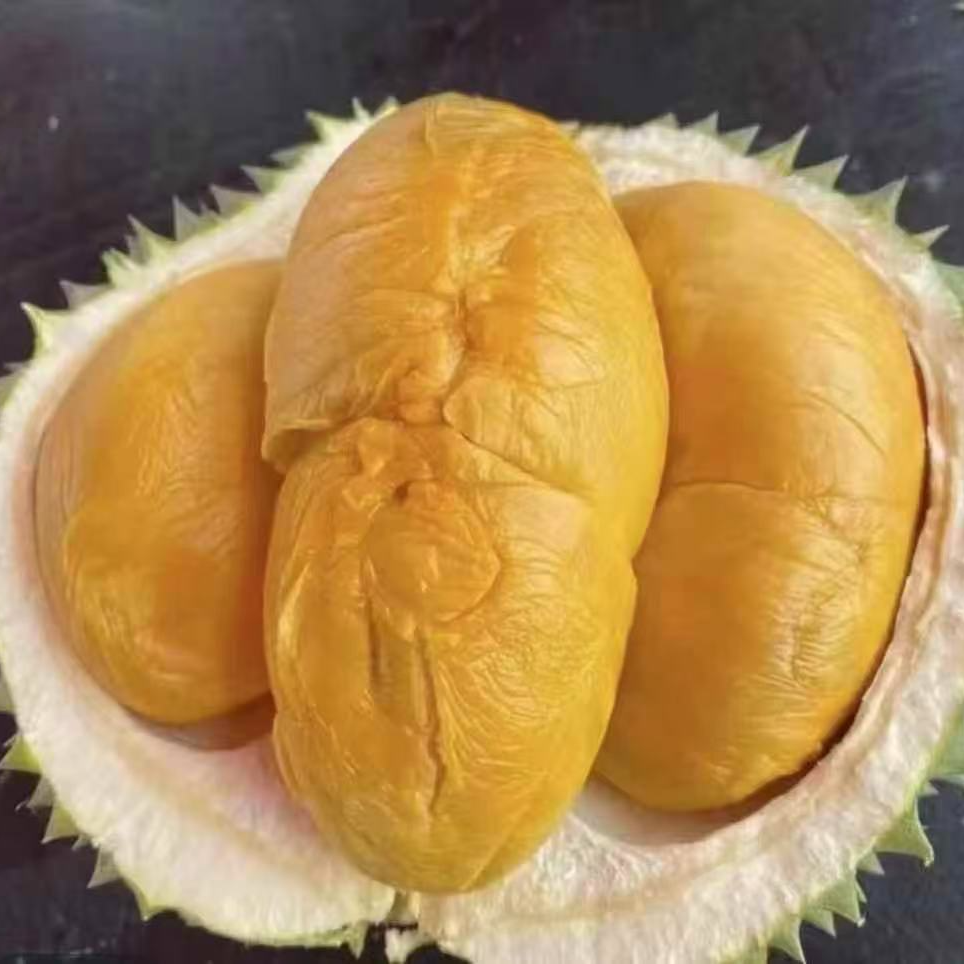 马来西亚鲜果榴莲黑刺小果