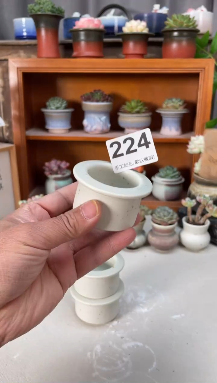 瓷片224小芳直播编号