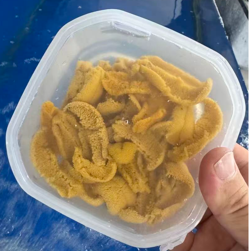 现剥大连紫胆肉新鲜即食100g/盒约一斤活海胆制作发顺丰