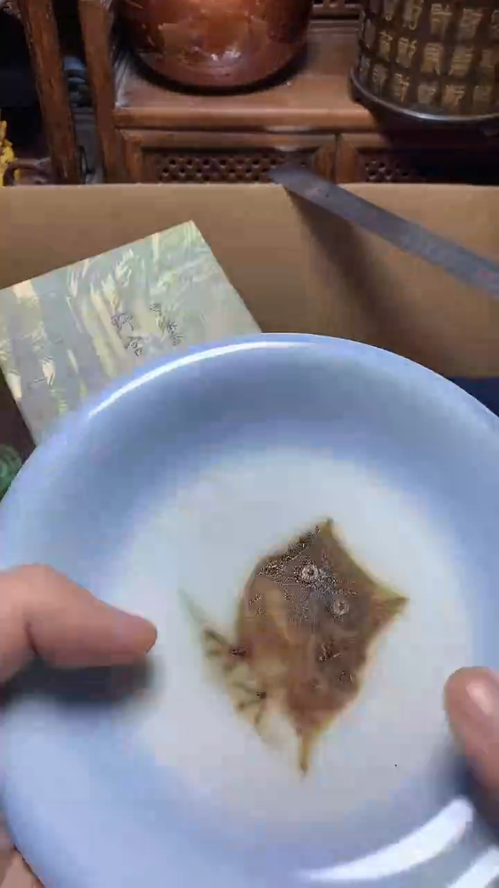 【闪购商品】瓷片瓷器瓷器瓷器瓷器