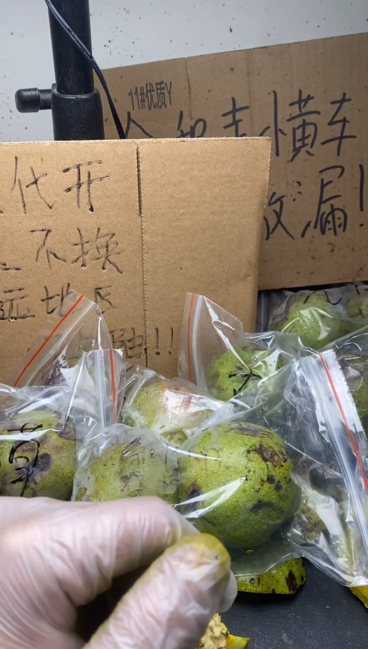 不退不换ZWF蛤蟆头14