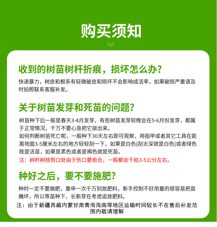 久留米黑甜庭院阳台花园均可种植盆栽