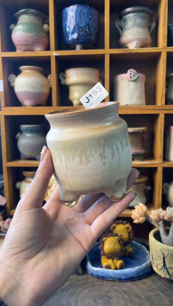 193内口7【多肉花盆多肉盆】