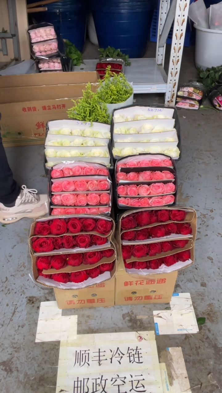 高原红20枝+戴安娜20枝+骄傲20枝+黄莺