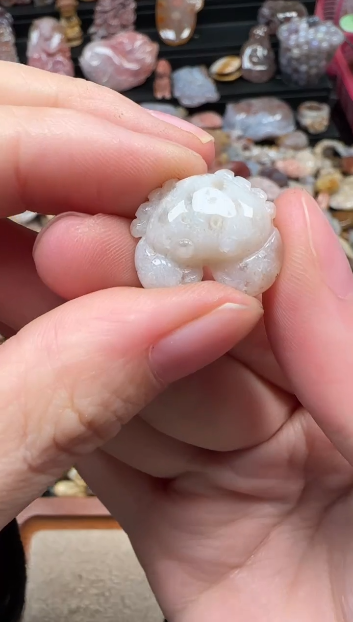 颈饰未镶嵌硅化珊瑚（珊瑚玉）350