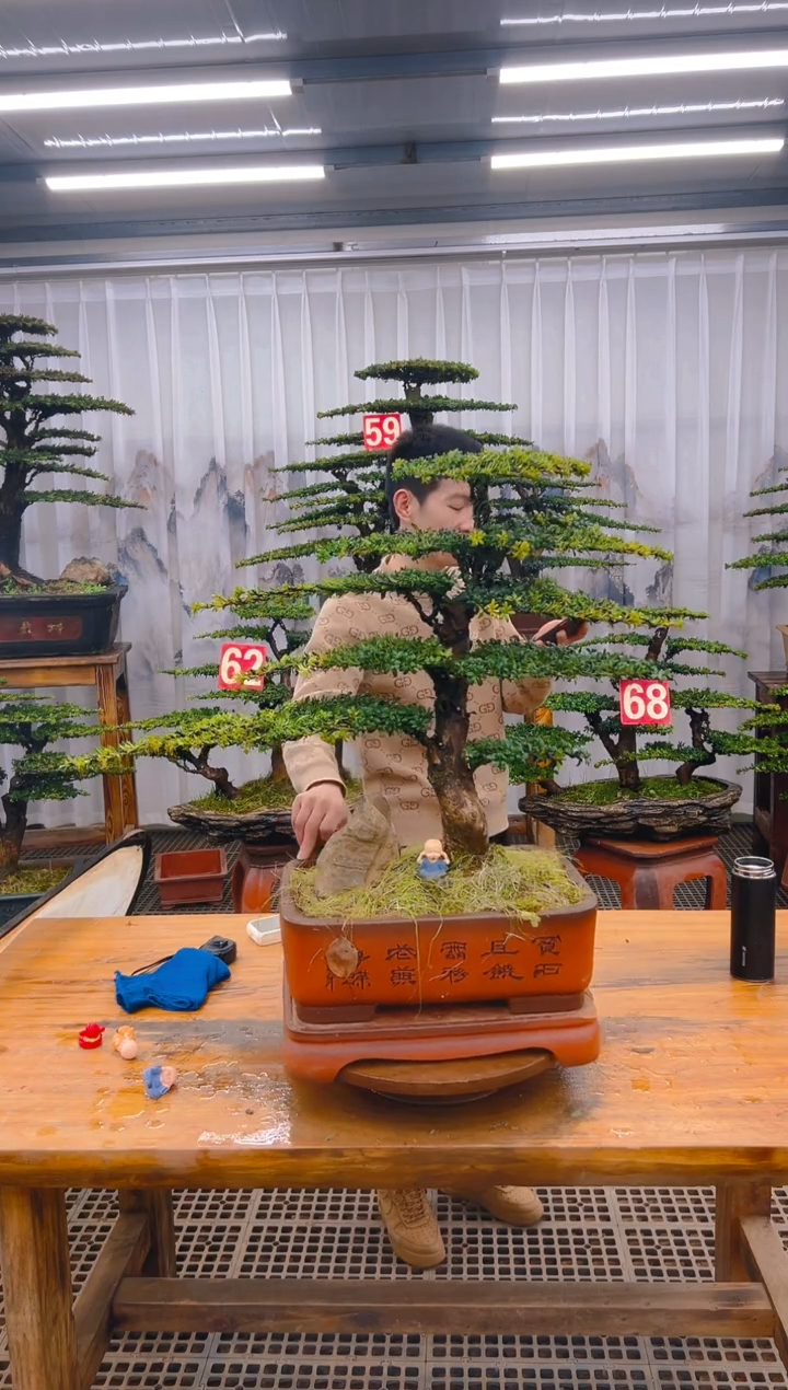 【闪购商品】紫砂精品盆景直播间一物一拍