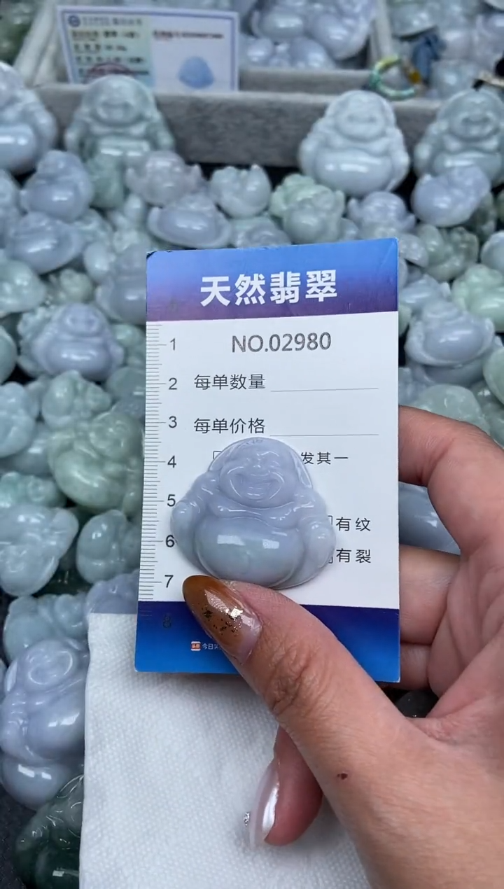 颈饰未镶嵌翡翠纯天然A货翡翠2980