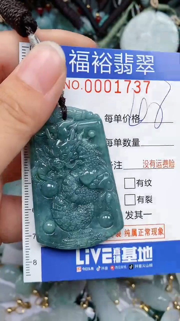 翡翠未镶嵌颈饰...0001737