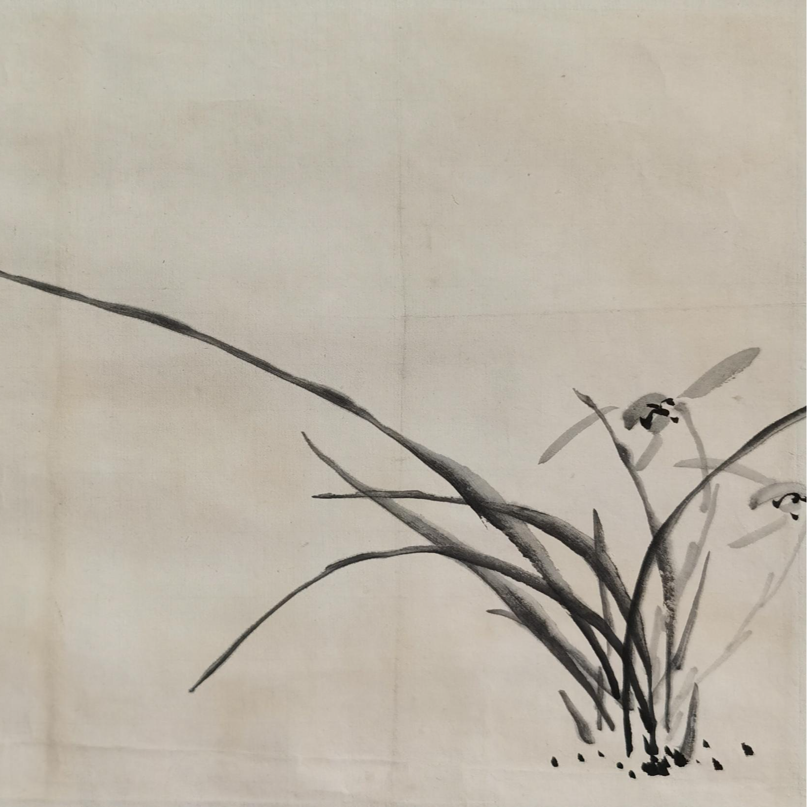 【辽拍】V240701-3-63《兰花》（0.6平尺)  纸本镜片 ws1230