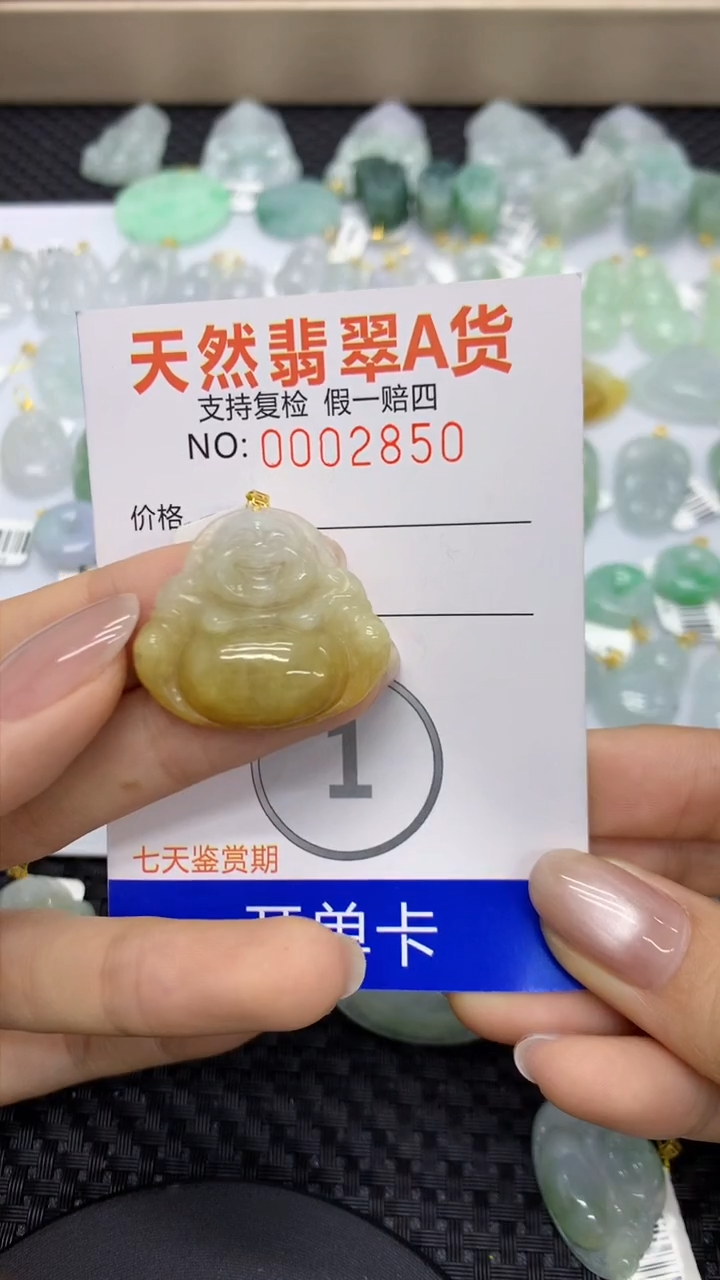 【闪购商品】翡翠颈饰18K金镶嵌11111111111