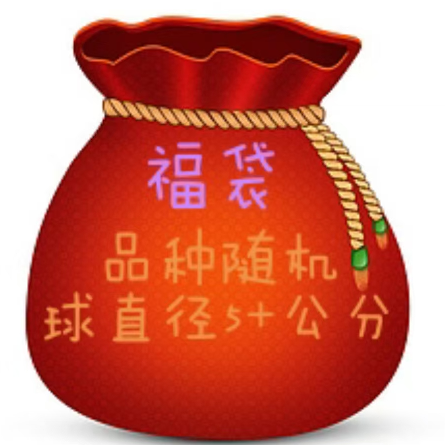 福袋 朱顶红品种随机5+球一个