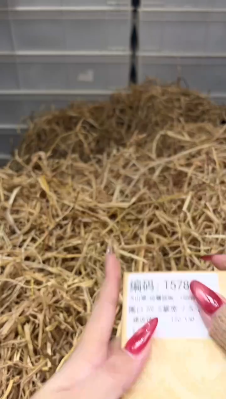 未镶嵌手镯石英质玉T5780