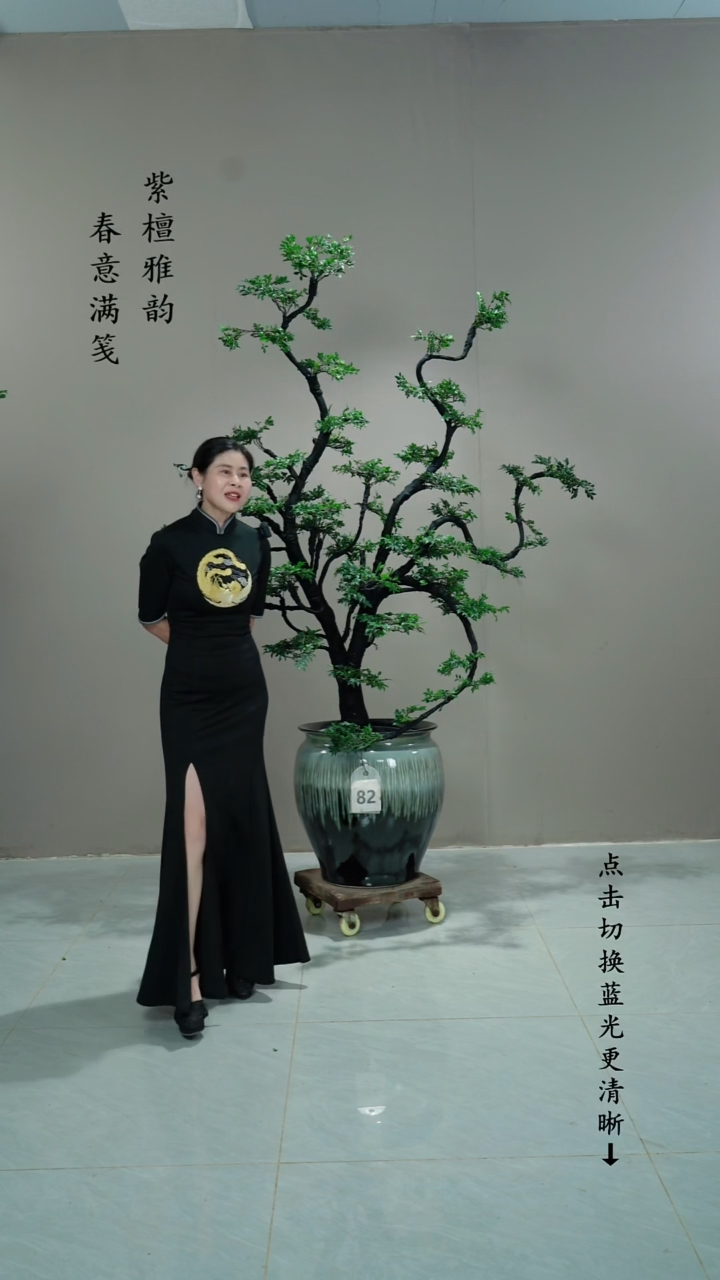 无花朵比*82号链接