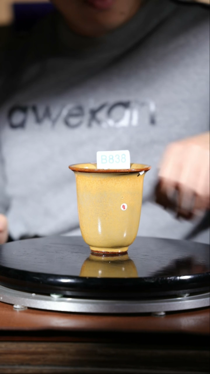 【闪购商品】红陶838