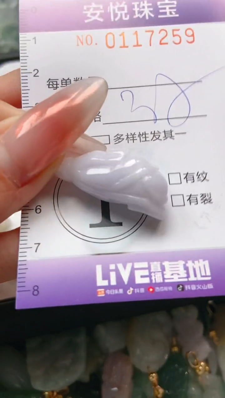 【闪购商品】翡翠颈饰未镶嵌闪购0117259