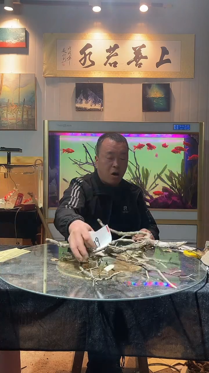 119号天然黄栎木1组