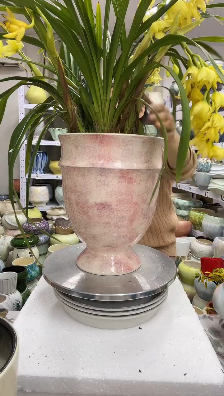 12.30陶瓷花盆直播链接高.      29口20