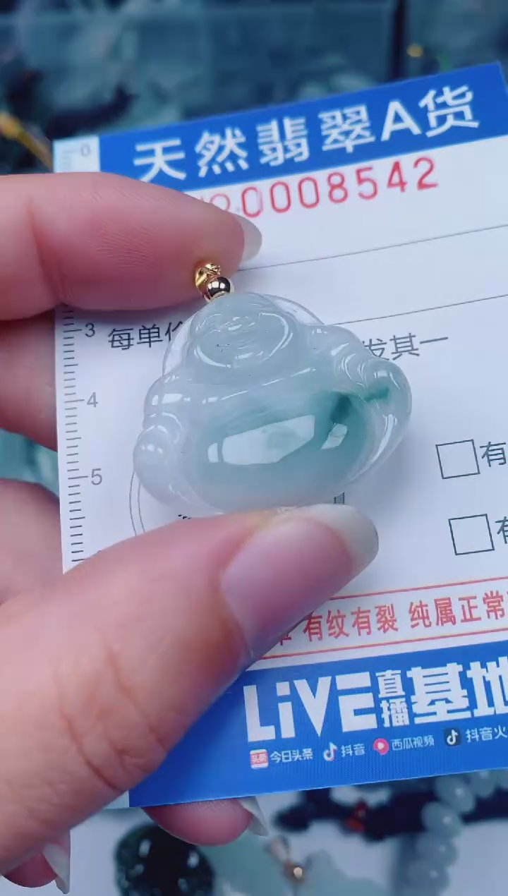 颈饰未镶嵌翡翠00008542